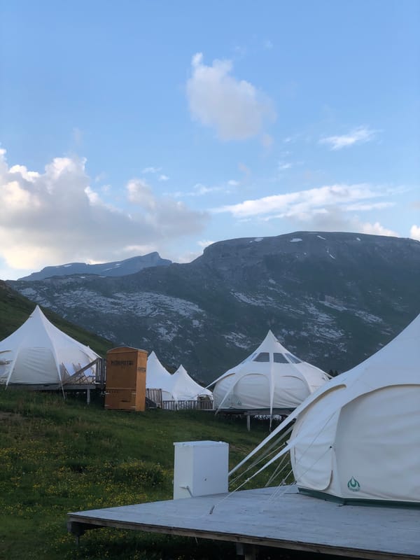 Lazy alpine afternoon in Laax — grazing cows, cold beers, mountain views