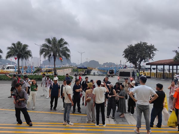 Tourist scenes captured across Bai Chay Ward establishments