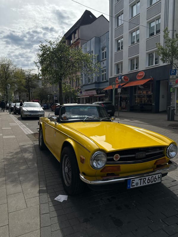 Food tray documented in close-up in Essen, Germany