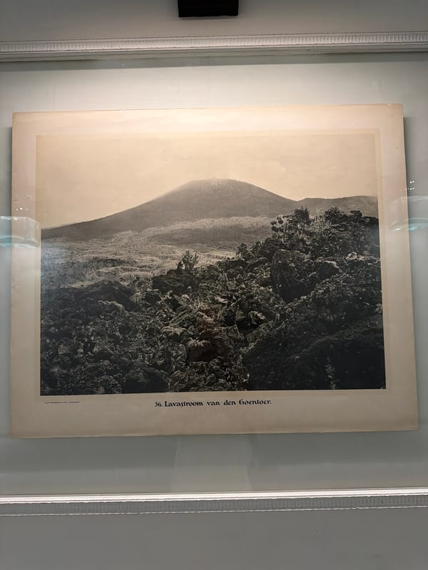 Witness documents diverse interior spaces and cityscapes during afternoon exploration