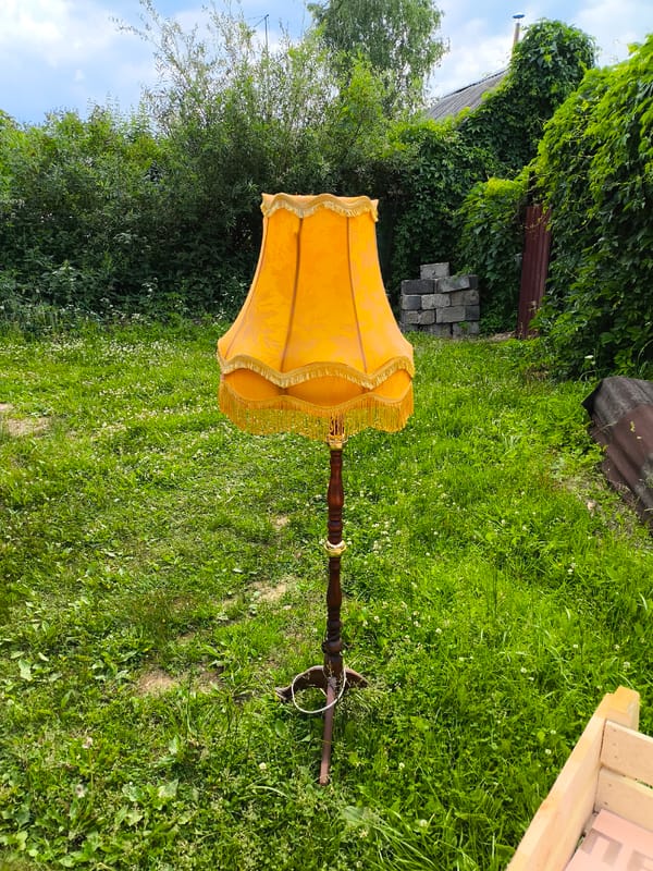 Vintage lamp spotted in overgrown yard near algae pond