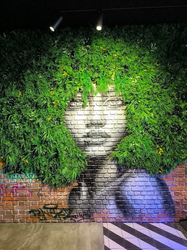 Street art portrait mural spotted on Alkmaar brick wall