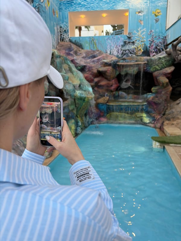 Tourists capture Red Sea resort moments in Sharm El Sheikh