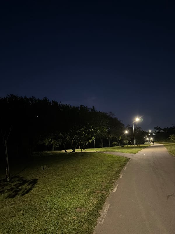 Evening streetlights and illuminated buildings observed in Brasília