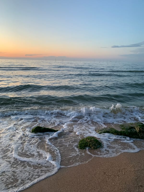 Evening scenes documented in Golubitskaya coastal town