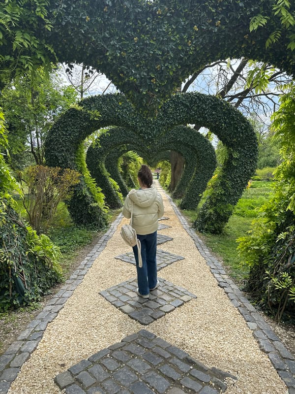 Woman walks through hedge tunnel at Romanian park