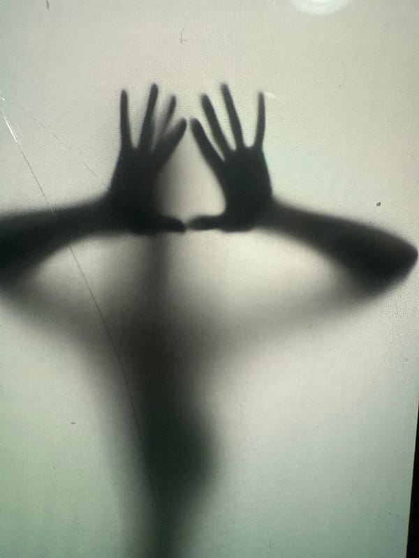 Silhouettes behind frosted glass, spray bottle on a countertop