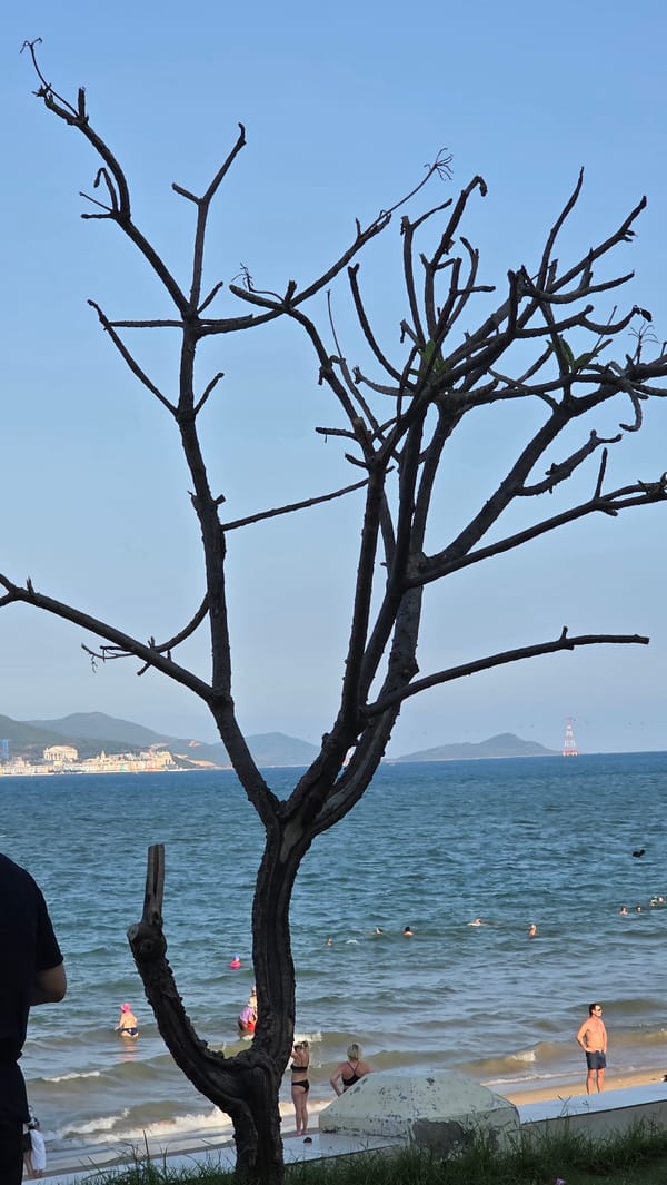 Morning life documented across busy Nha Trang beaches and streets