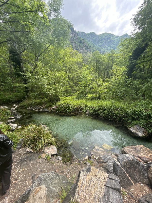 Clear mountain stream observed in Krichim, Bulgaria countryside