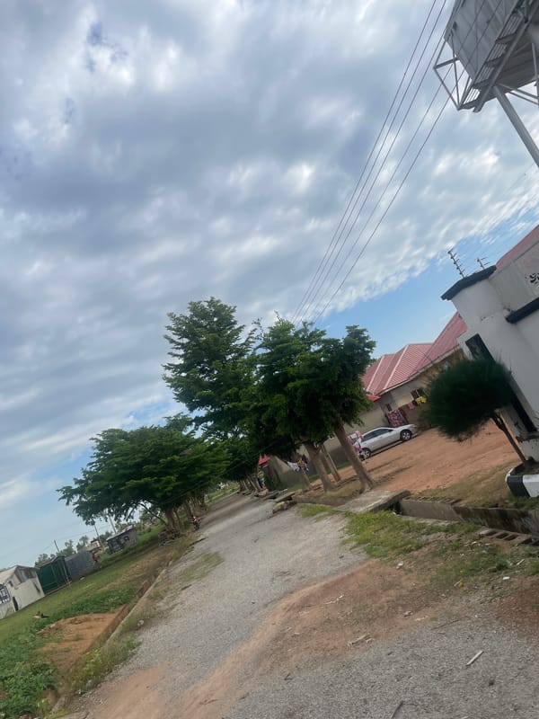 Modern walled residence in Jauro Yinu, Nigeria, detailed inside and out