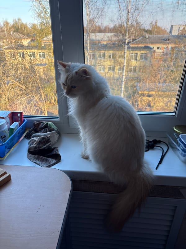 Early morning domestic routine documented in Chaikovsky, Russia