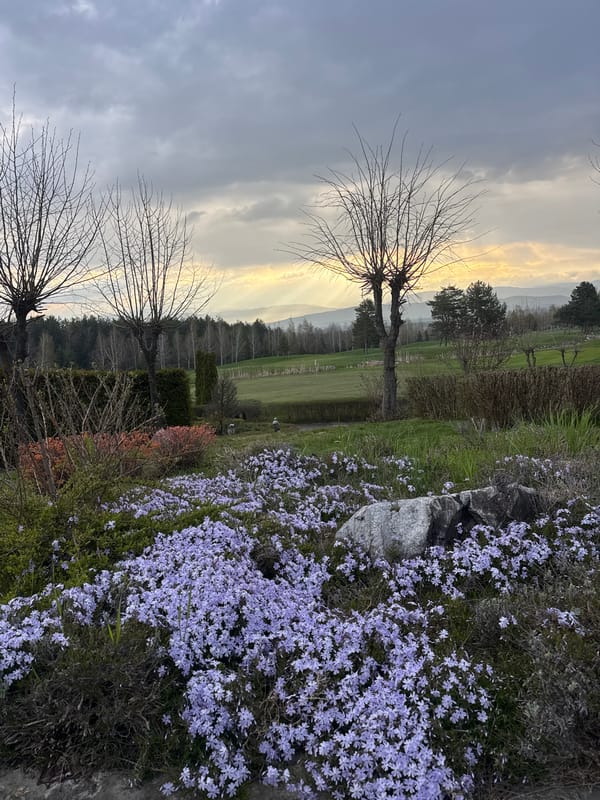 Spring blooms and golf carts observed at Bulgarian country club