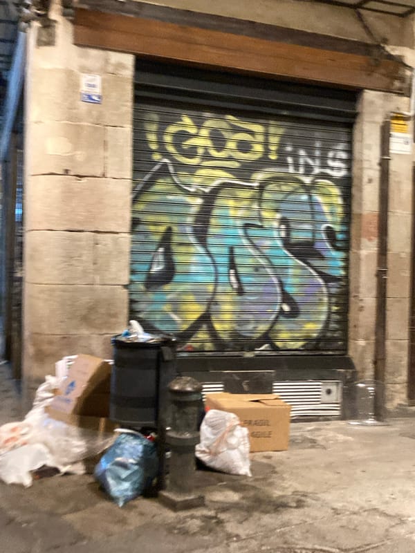 Barcelona's Gothic Quarter at night, shutters down and graffiti up