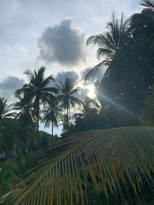 Morning scenes captured in Ban Bang Rak, Thailand
