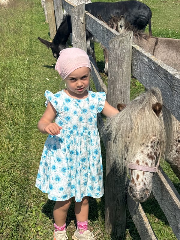 Kids and a dappled pony by a fence in rural Russia