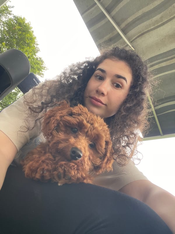 Woman camps with poodle in Koprinka, Bulgaria Saturday afternoon