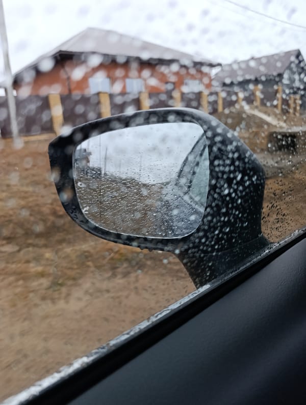 Rainy morning moments with cat companion in Chaikovsky, Russia
