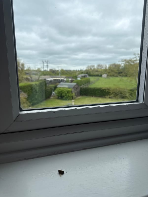 Overcast morning view through window in Hitchin, UK