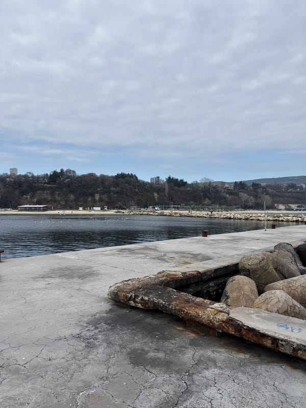 Visitor captures selfie at Varna beach amid cloudy weather