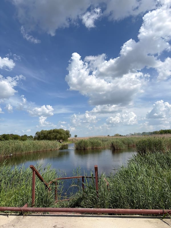 Peaceful waterway documented near Novopokrovskaya, Russia