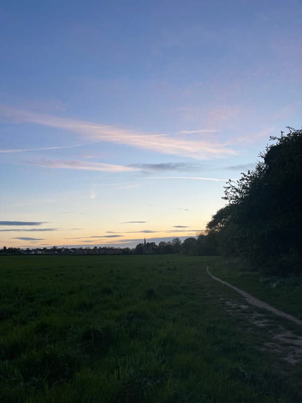 Evening dog walk documented across multiple Maidstone locations during twilight
