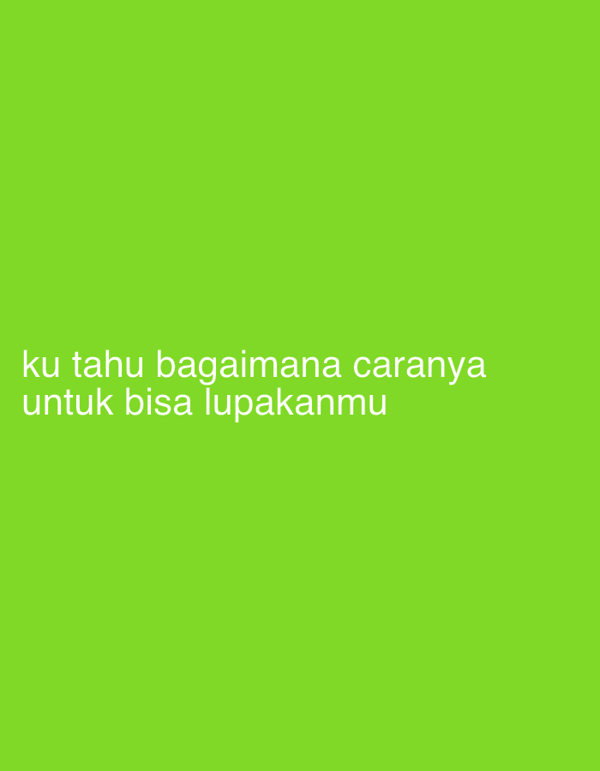 Indonesian heartbreak lyrics in slides, cats at home in Denpasar
