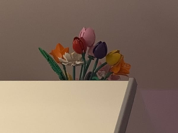 Late-night craft collection documented in Bulgarian home