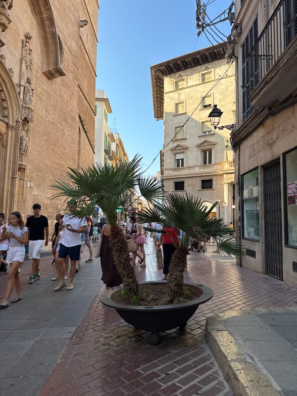 Wandering Palma's old town streets, cathedral, and alleyways