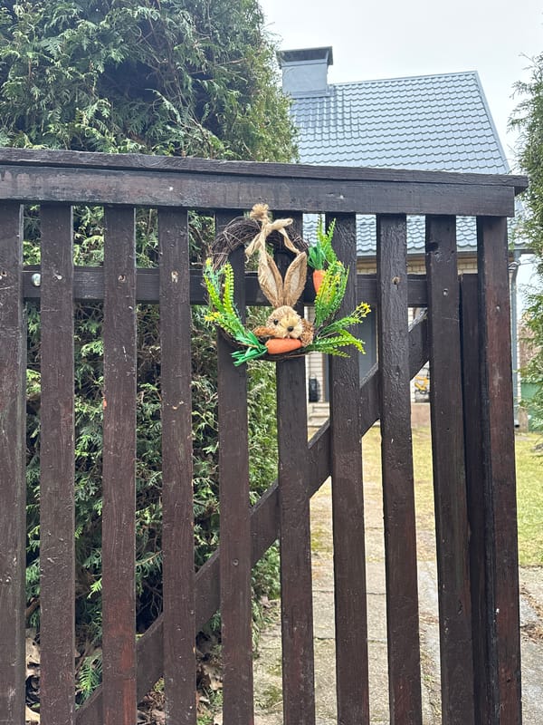 Cozy raclette lunch preparation with pets in Carnikava home