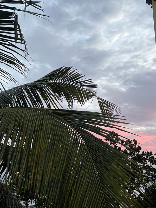 Dusk on the southern Sri Lanka coast, cloudy skies and calm shore
