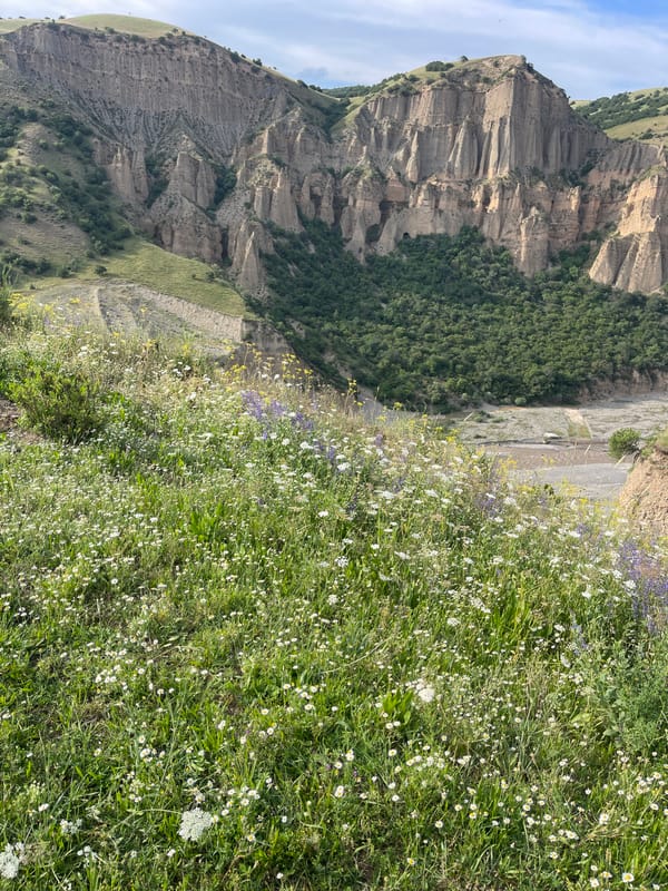 Dramatic cliffs and wildflower meadows at Taran-Bazar, Kyrgyzstan