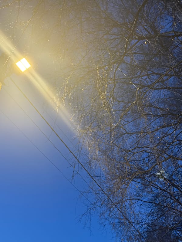 Everyday moments captured across Dmitrov, Russia