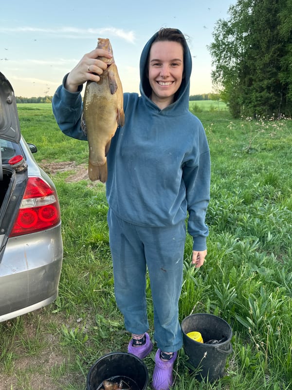 Woman displays large tench fish beside car in Russian field
