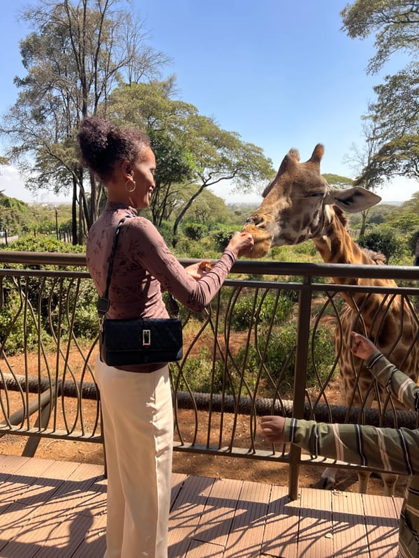 Visitors feed giraffes at Nairobi wildlife center