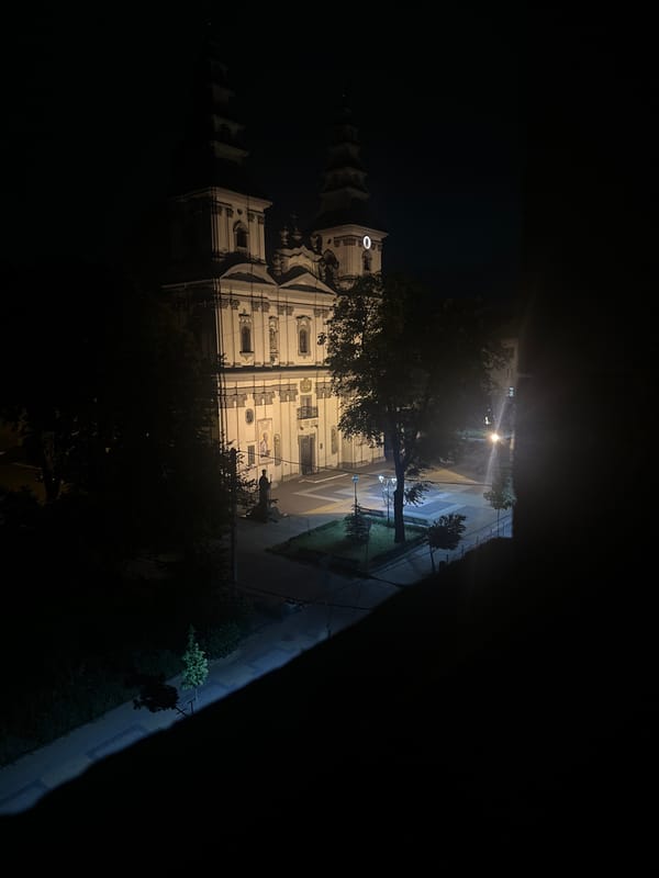 Ternopil at night: lit-up landmarks and a sleepy cat