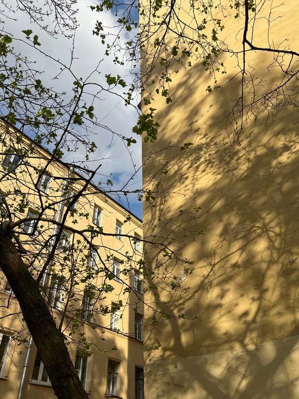 Observer documents everyday Saint Petersburg scenes during afternoon walk