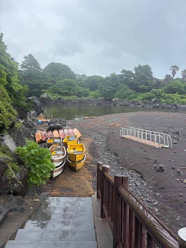 Rainy day along Seogwipo's volcanic coastline and black sand beaches