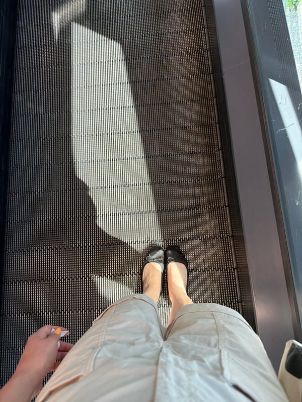 Afternoon errands and selfies around Strasbourg