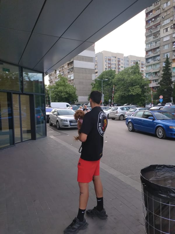 Ordinary afternoon moments captured in Stara Zagora streets, shops