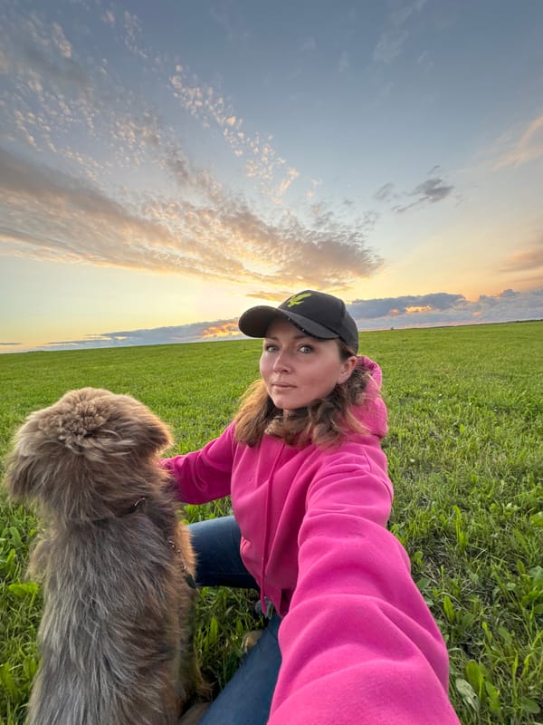 Evening dog walk across an open field in Timmolovo