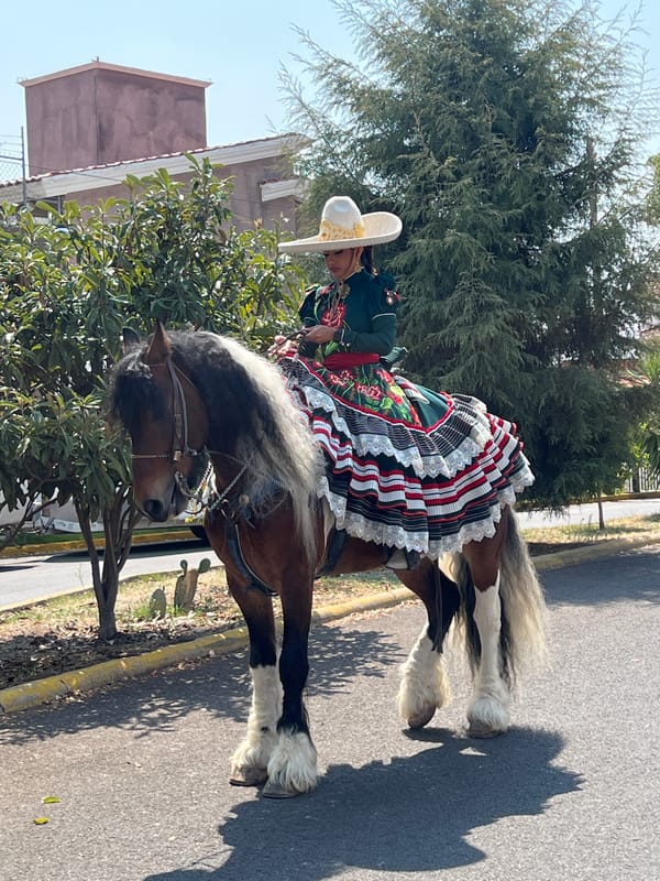 Urban area sees horseback rider, aircraft formation, military vehicles