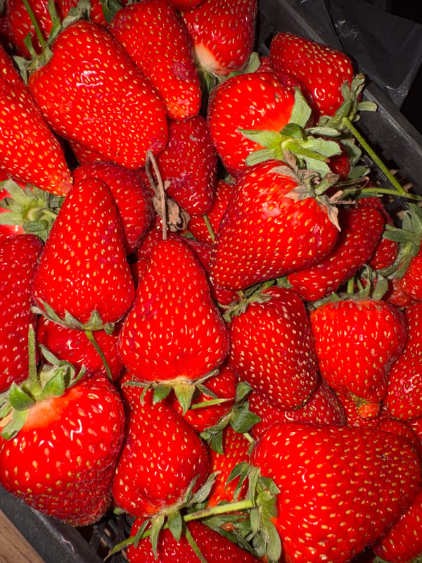 Domestic moments documented in Russian residential setting, strawberries featured