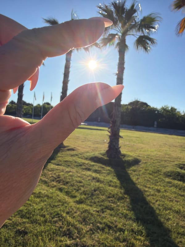 Morning dog walk captured in sunny Mont-roig del Camp