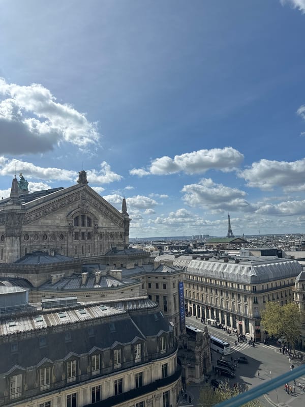 Elevated Paris view captures Eiffel Tower and ornate architecture