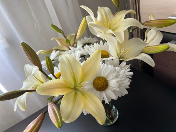 White daisies and pale lilies, two angles