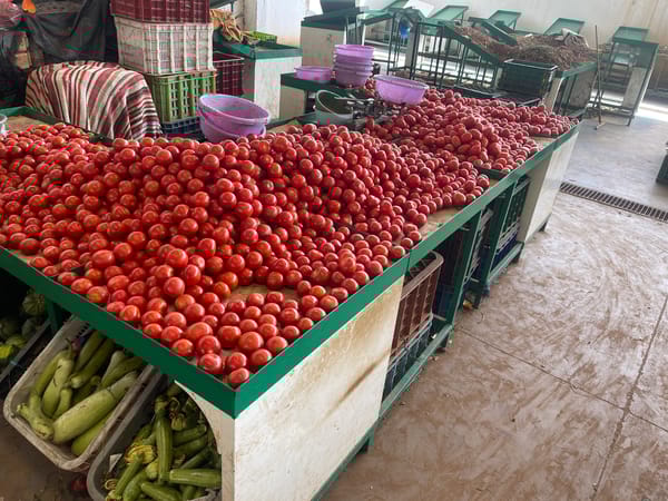 Indoor produce market documented in Safi, Morocco