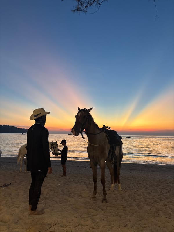 Tourists dine and socialize at Kamala Beach Thailand sunset