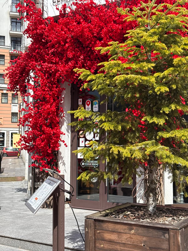 Spring street scenes documented in Estosadok, Russia