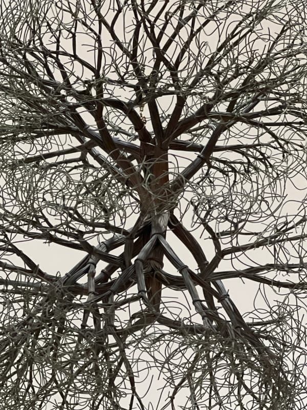 Wire tree sculptures fill a Bilbao gallery with intricate organic forms.