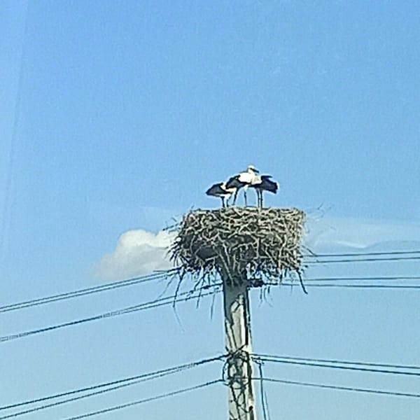Event